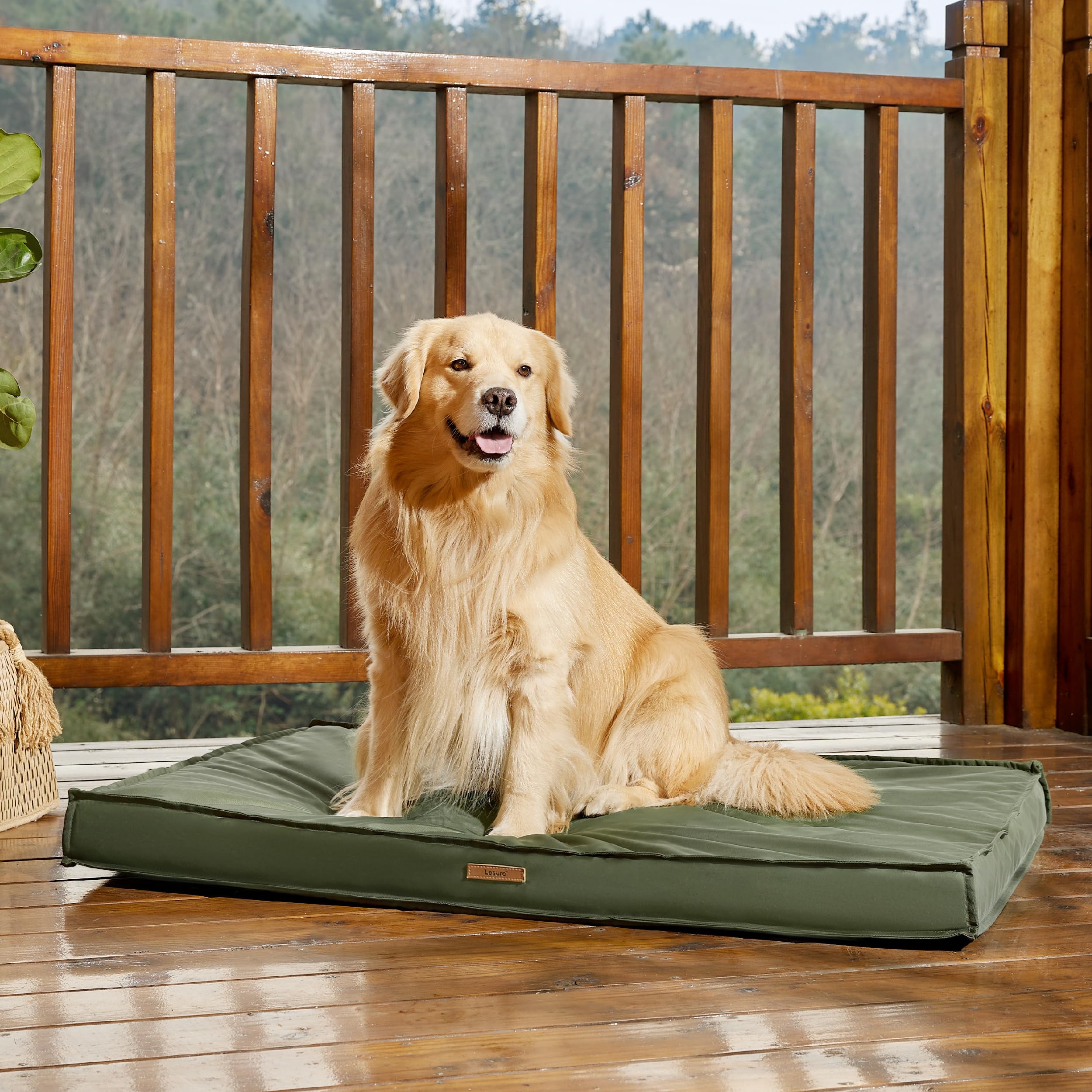 LE SURE is designed for indoors or outdoors, compatible with crates and travel.