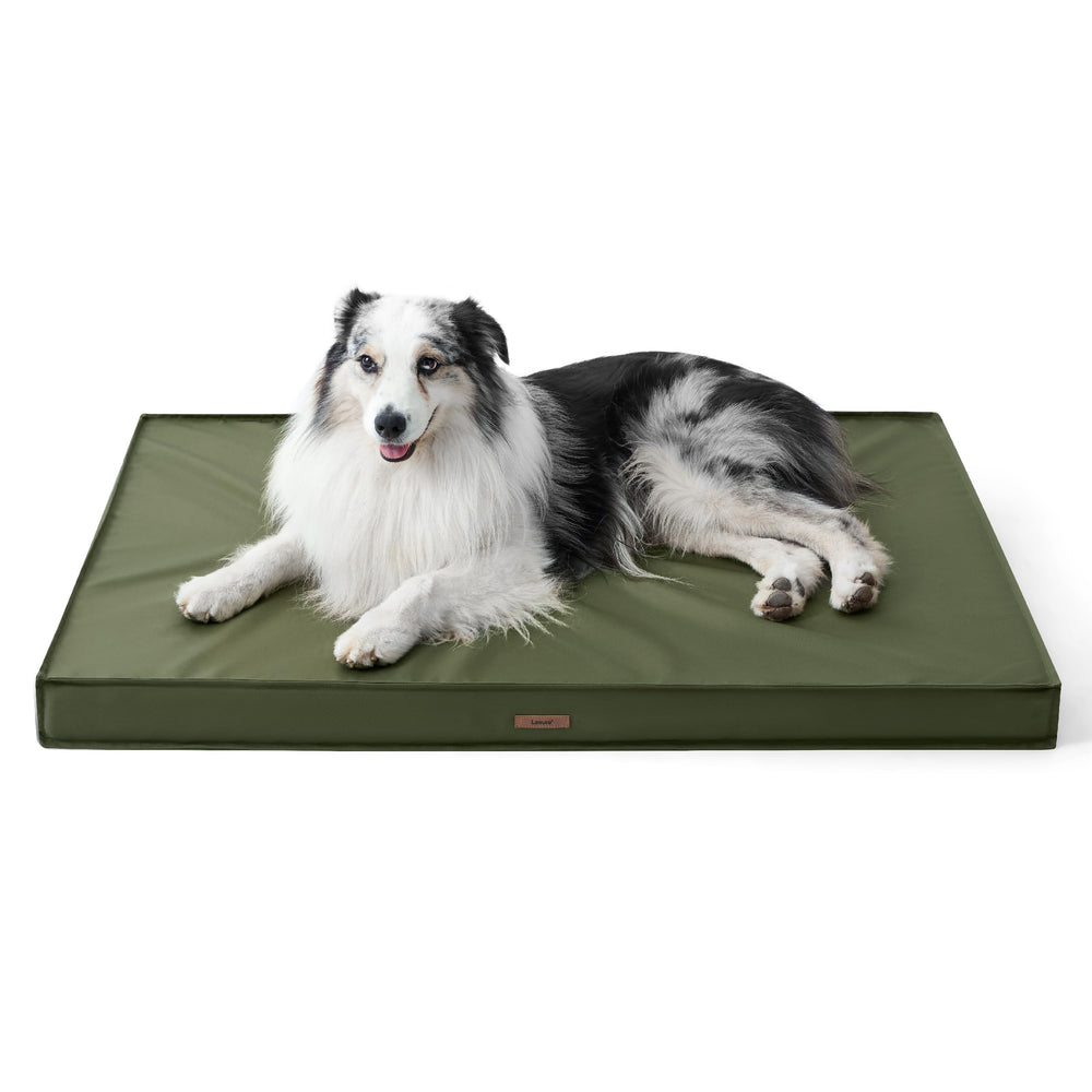 LE SURE green colorway blends with home and yard environments.