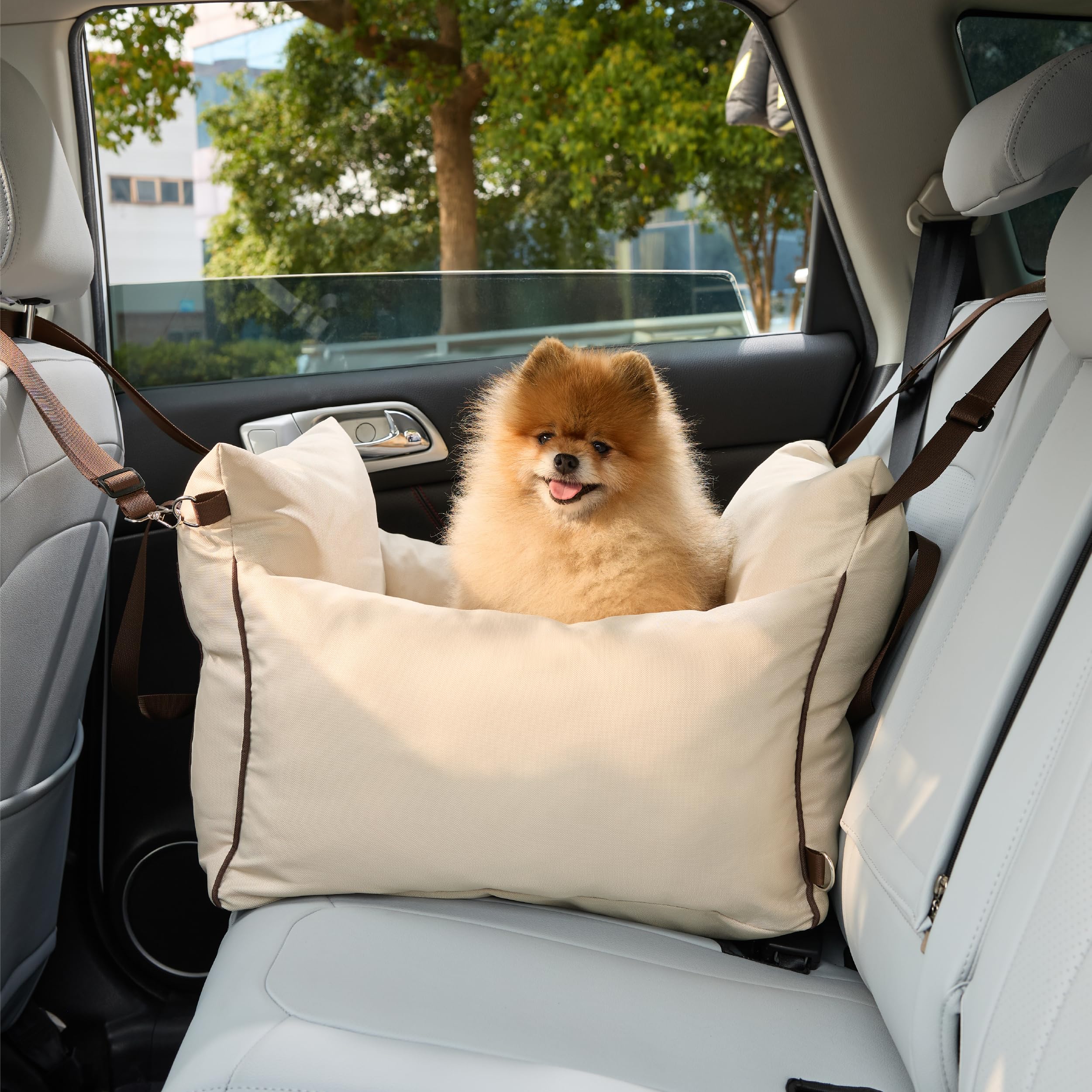 LE SURE Lesure in-car setup shows quick tool-free installation
