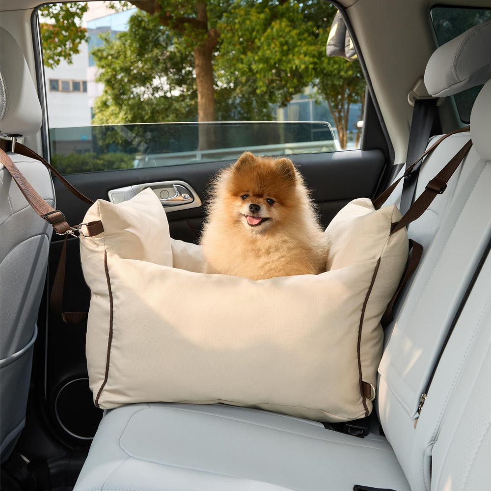 LE SURE Lesure in-car setup shows quick tool-free installation