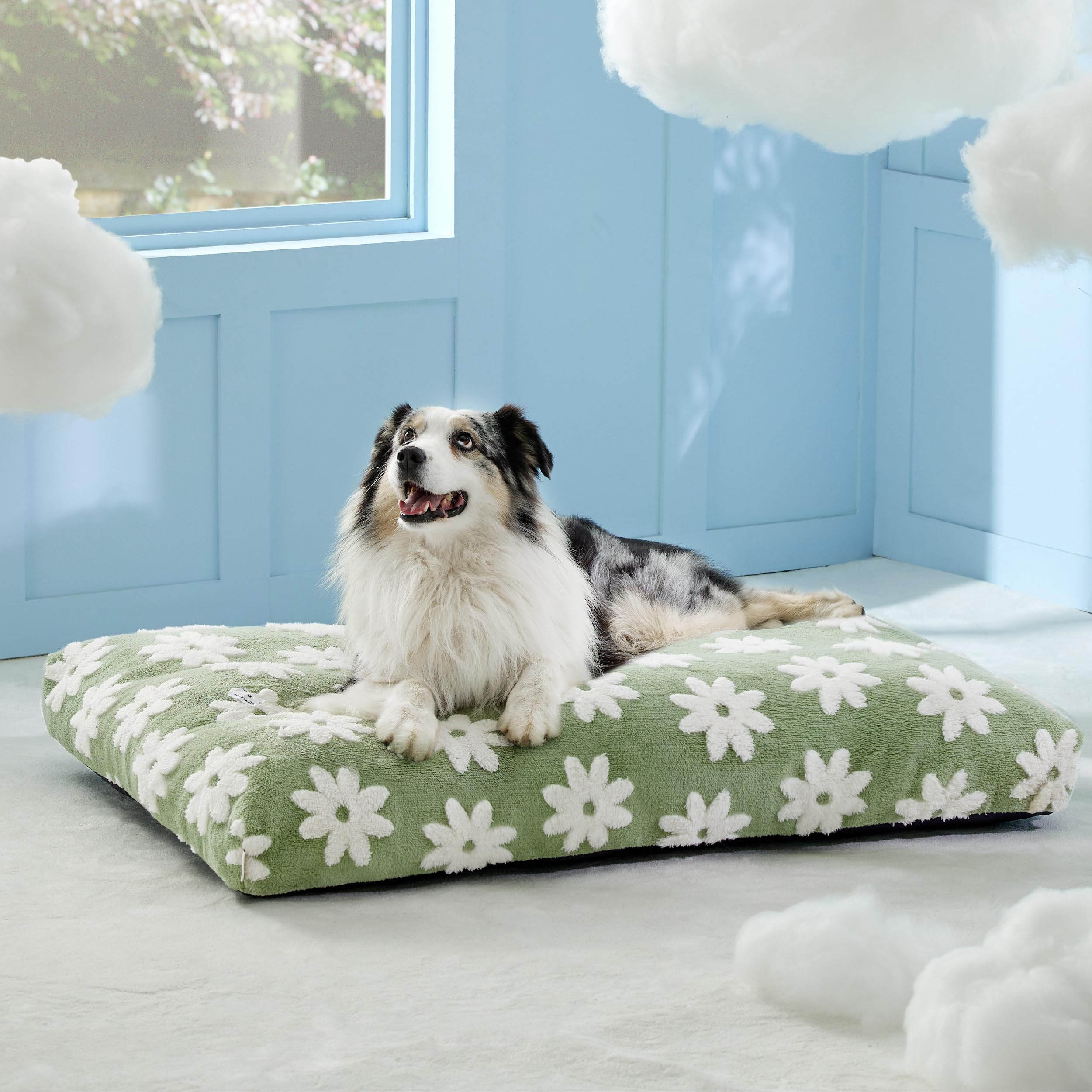 LE SURE XLarge bed ships compressed and inflates after unpacking