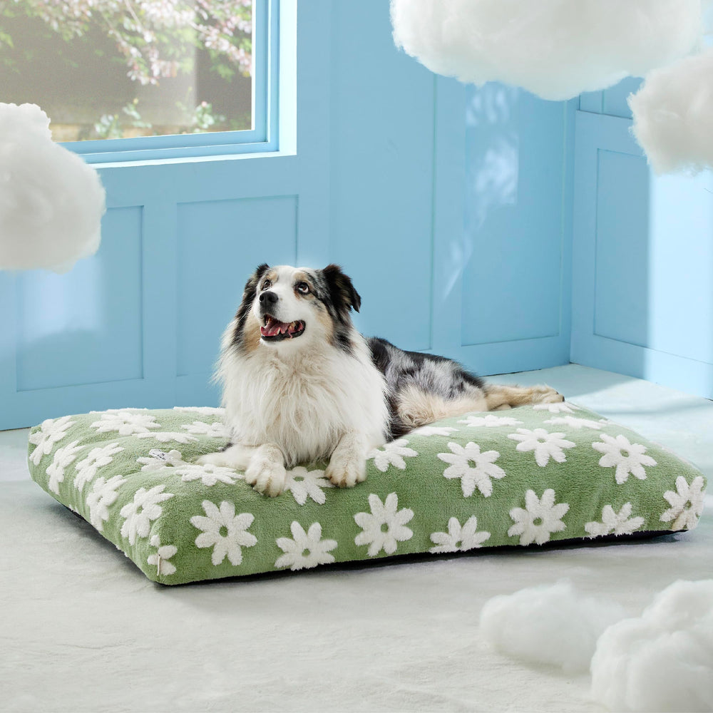 LE SURE XLarge bed ships compressed and inflates after unpacking
