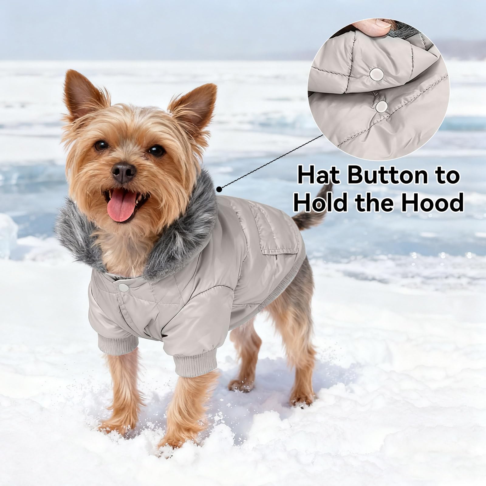 LESYPET coat back shows leash hole for secure outdoor walks