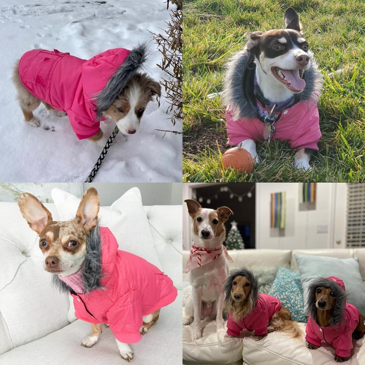 LESYPET elastic cuffs reduce wind, boost warmth