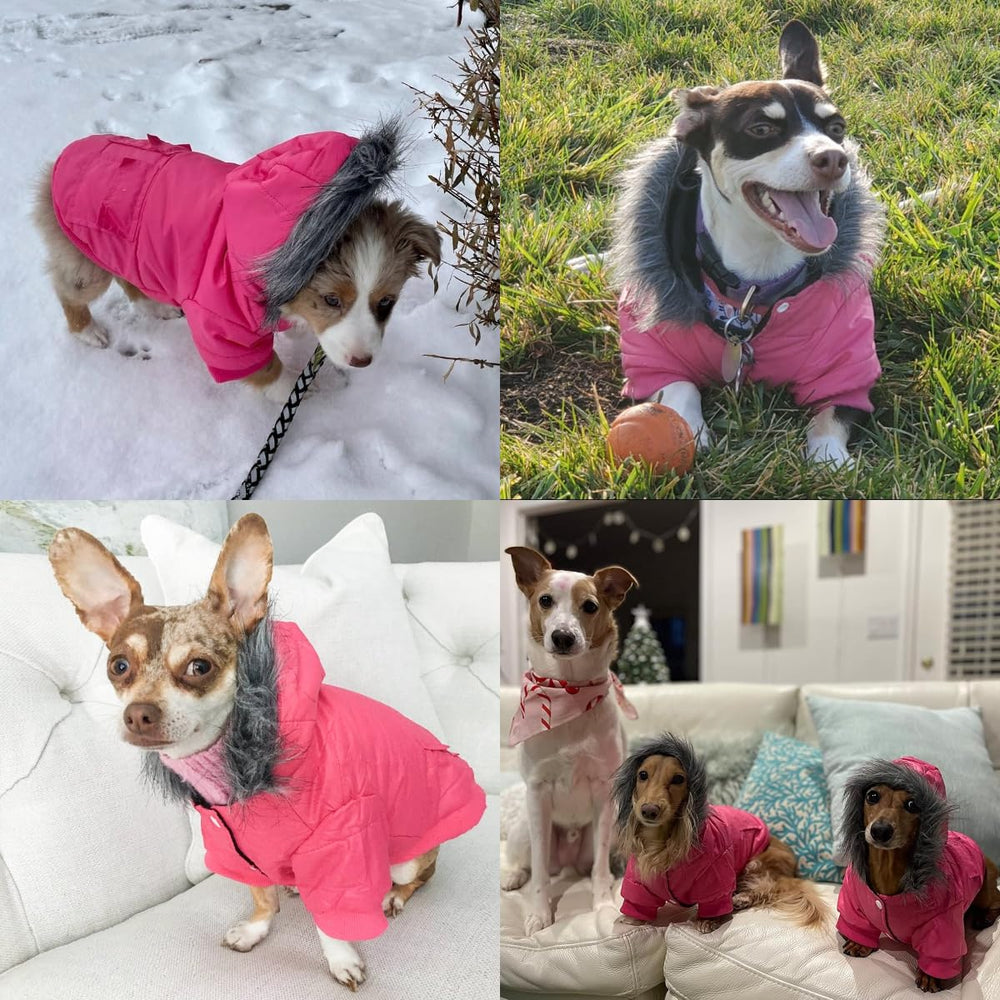 LESYPET elastic cuffs reduce wind, boost warmth