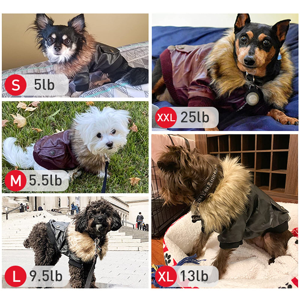 LESYPET elastic sleeves keep the coat secure during outdoor walks