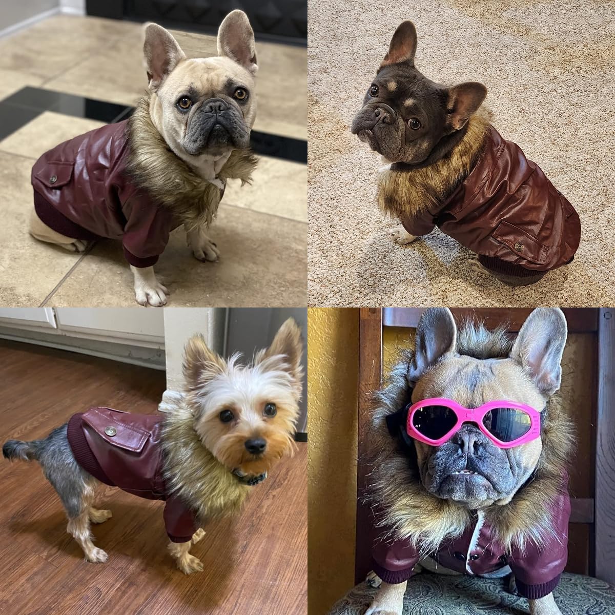 LESYPET waterproof winter coat ideal for urban adventures in cold weather