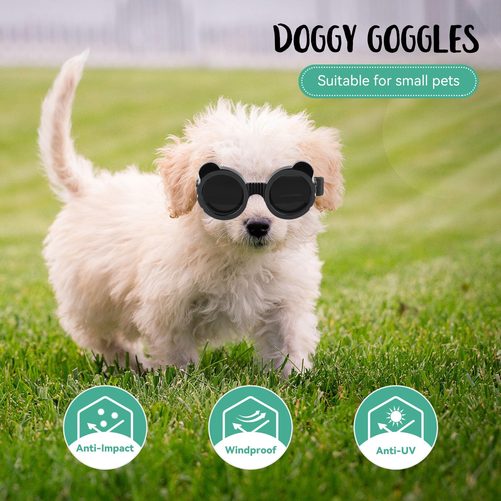 LESYPET outdoor eyewear supports dogs on hikes and sun-filled walks.