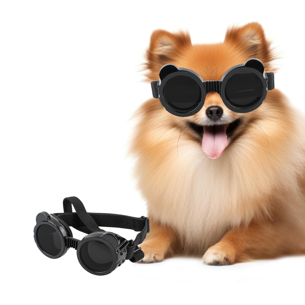 LESYPET dog sunglasses for small breeds on Chihuahua showing secure fit and UV shielding.