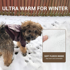 LESYPET fleece-lining closeup emphasizes warm insulation and cozy feel during winter outings for pets.
