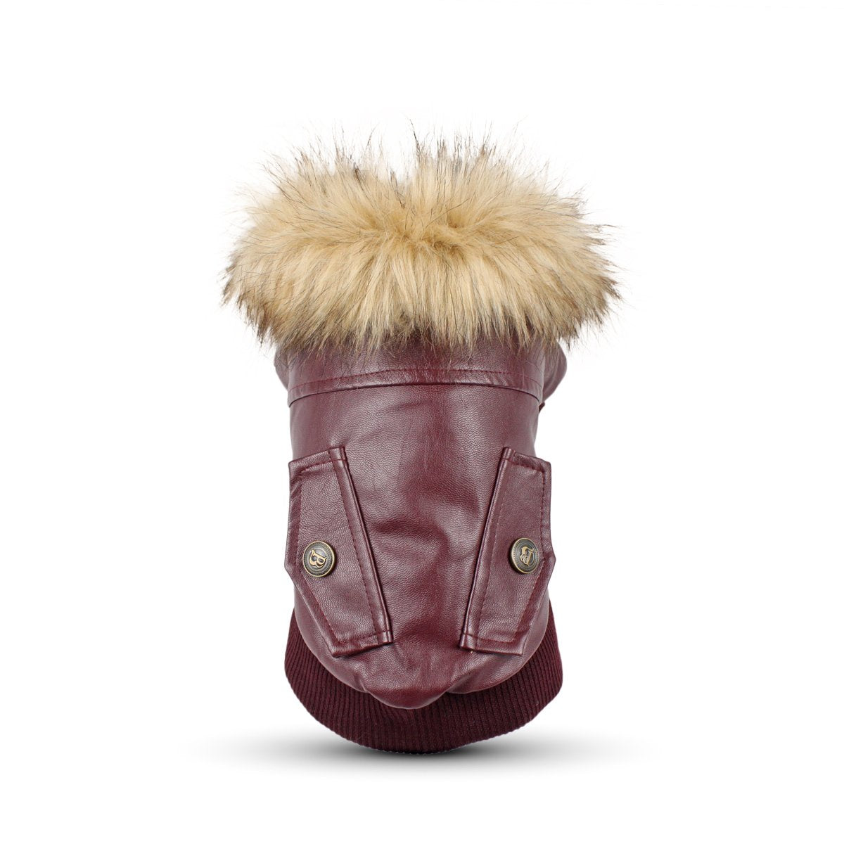 LESYPET leather jacket front view shows a snug fit for small dogs in cold weather.