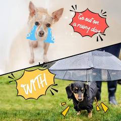 LESYPET umbrella-leash-attachment shows quick hook to your dog's collar for easy on-the-go outings