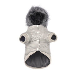 LESYPET windproof dog coat on a small dog ready for a chilly walk