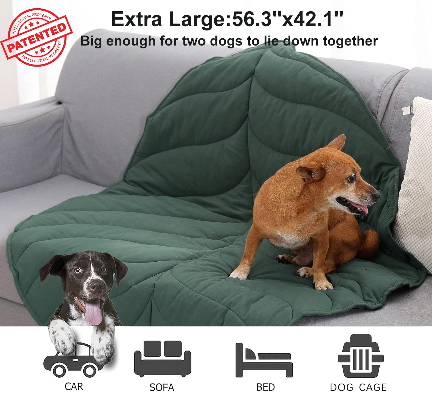 Letalong 57x43 inch blanket sized to cover sofas and beds.