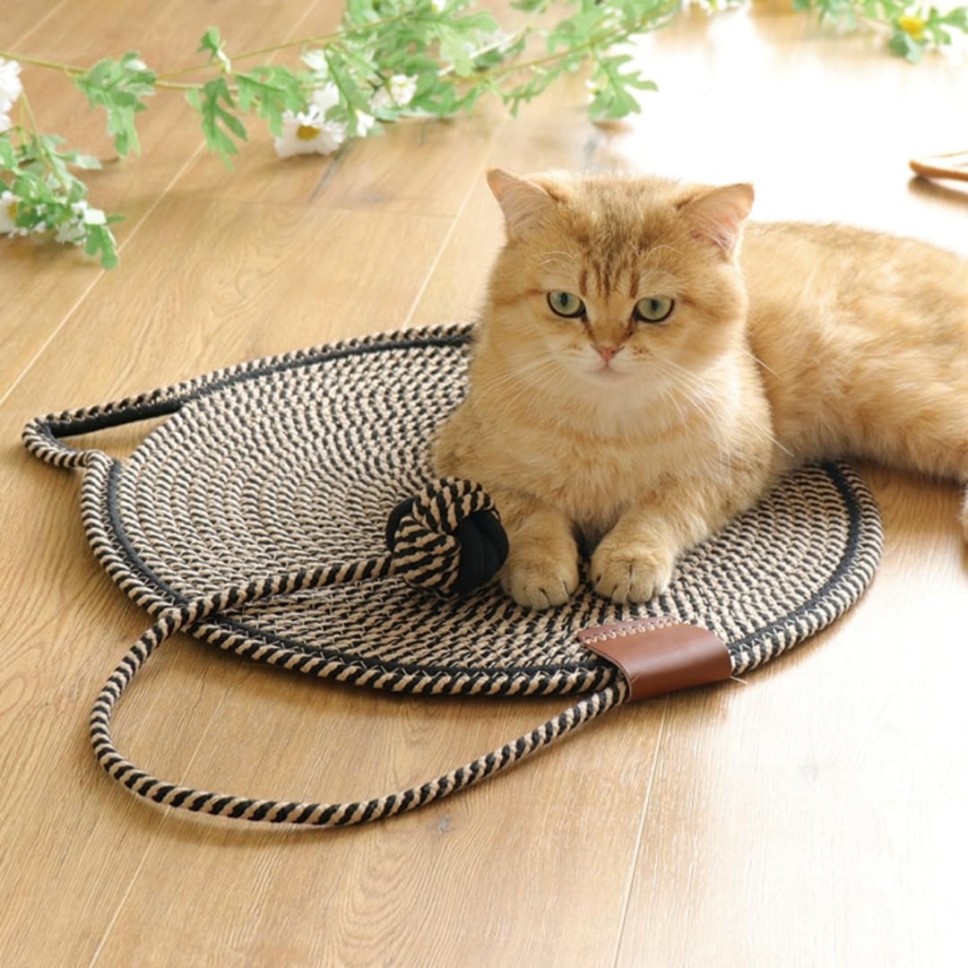 Letalong cat scratcher mat wall placement image illustrates furniture protection benefits.