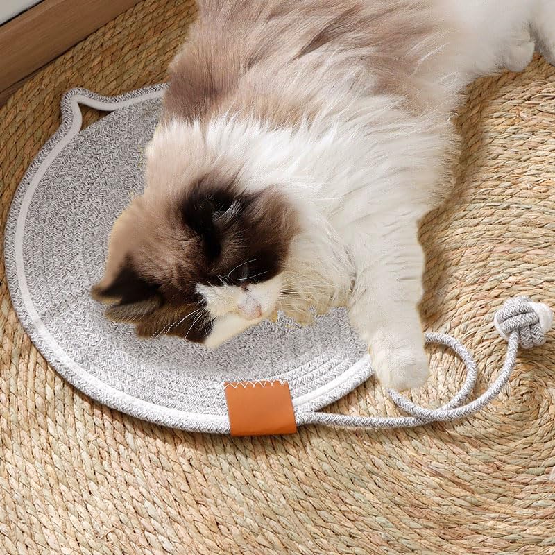 Letalong cat-scratcher-mat-wall-use demonstrates wall-friendly scratching options for space-saving setups.