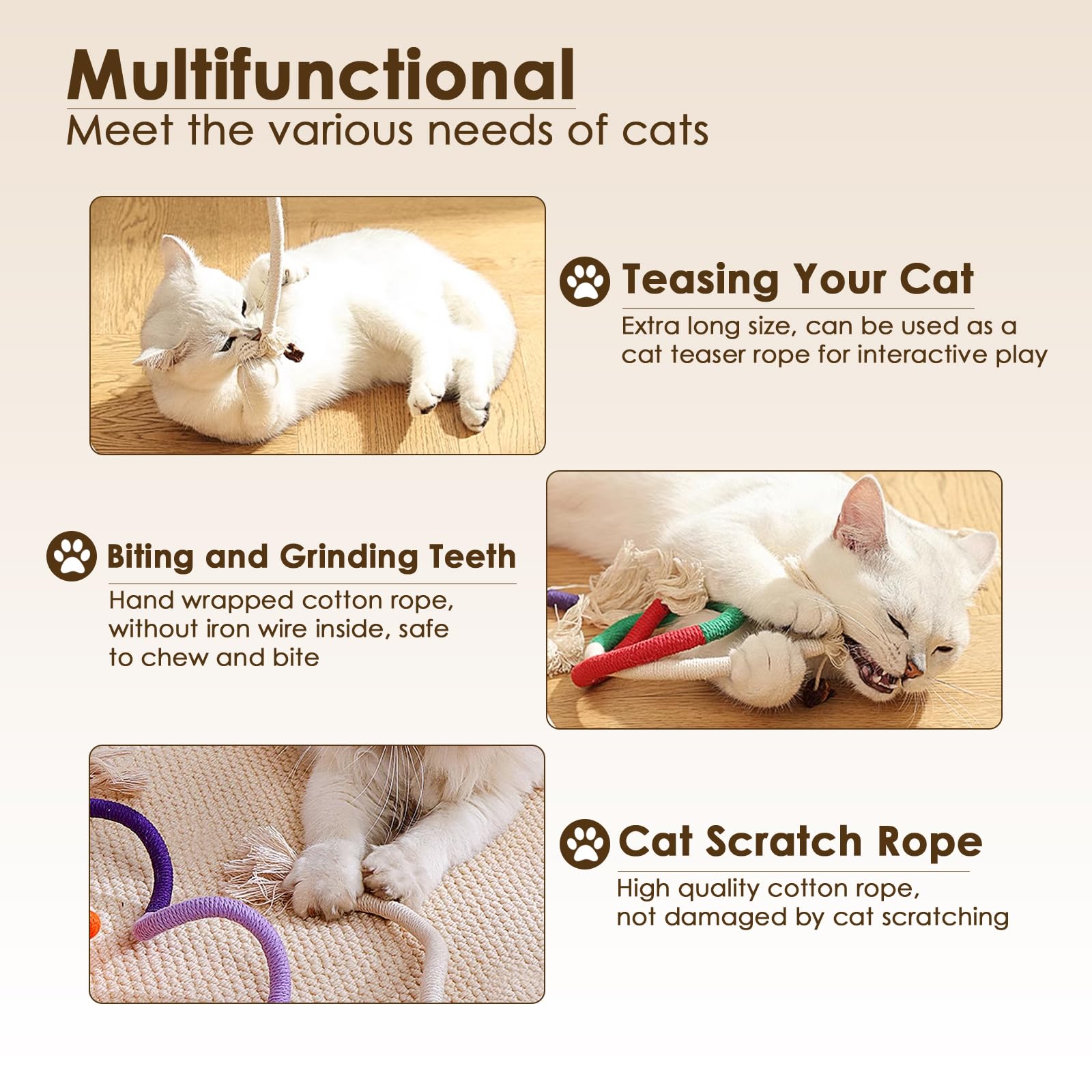 Letalong catnip pack included to boost indoor cat engagement