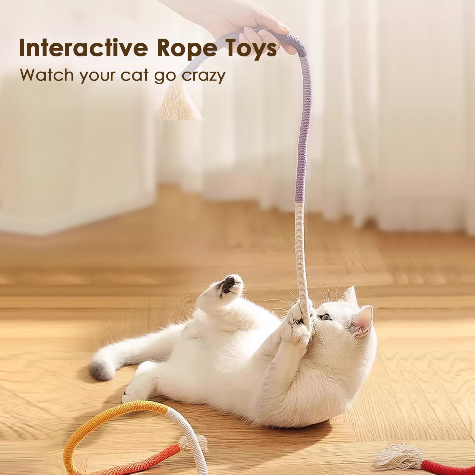 Letalong indoor cat play setup inviting kittens and cats to stretch and chase