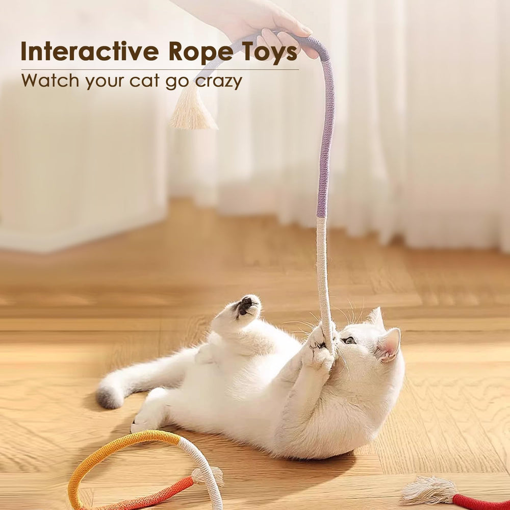 Letalong indoor cat play setup inviting kittens and cats to stretch and chase