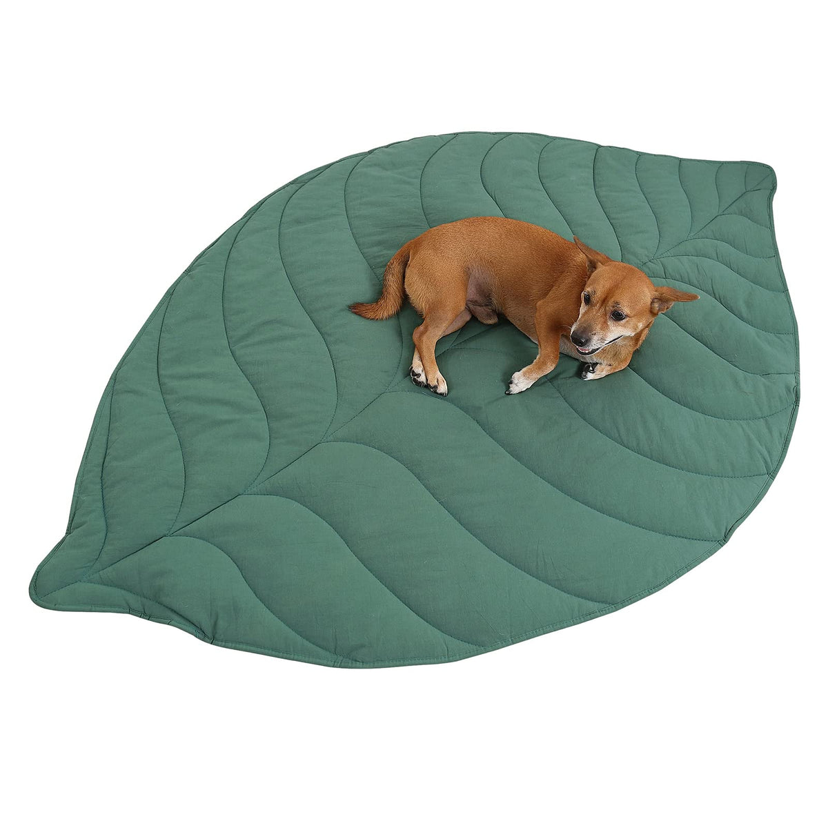 Letalong leaf-shaped dog blanket shows leaf design ideal for cozy lounging.