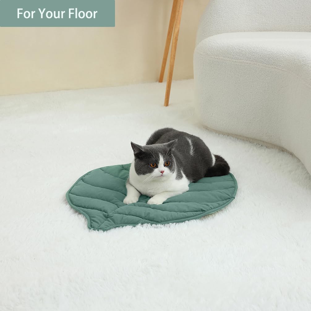 Letalong uso-domestico interior ideal para felinos y gatos pequeños.