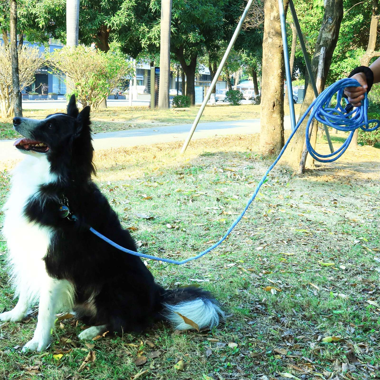 Leterno long leash ideal for hiking camping and yard play in outdoor adventures