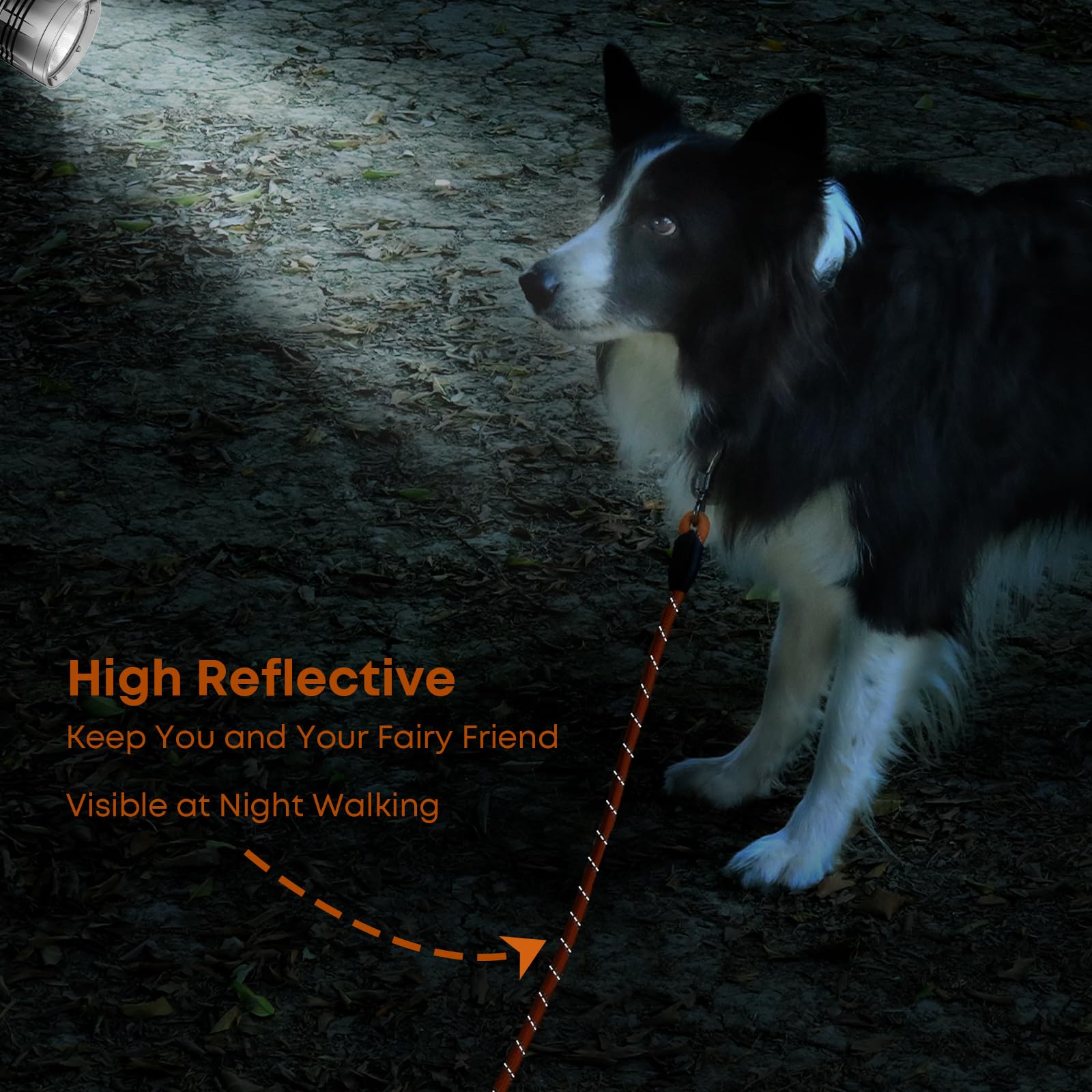 Leterno outdoor dog leash suitable for hiking, camping, and backyard play