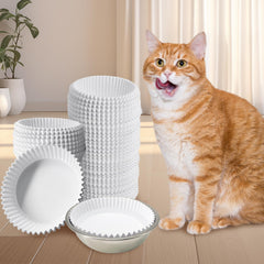Letesult cat feeding station setup closeup demonstrates multi-pet convenience