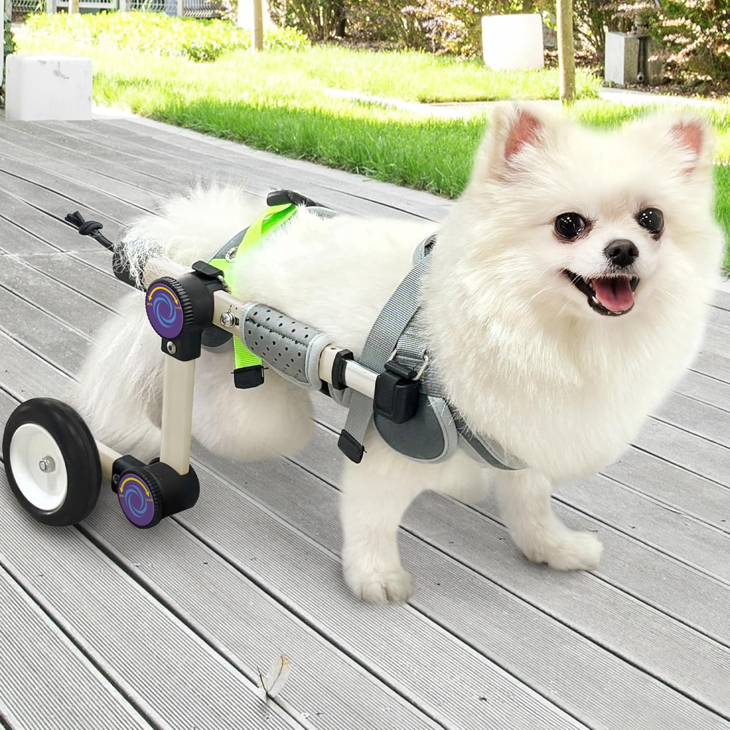 LetPetRun adjustable dog wheelchair front view showing hind-leg support and mobility.