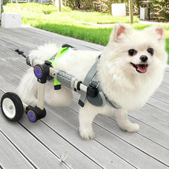 LetPetRun adjustable dog wheelchair front view showing hind-leg support and mobility.