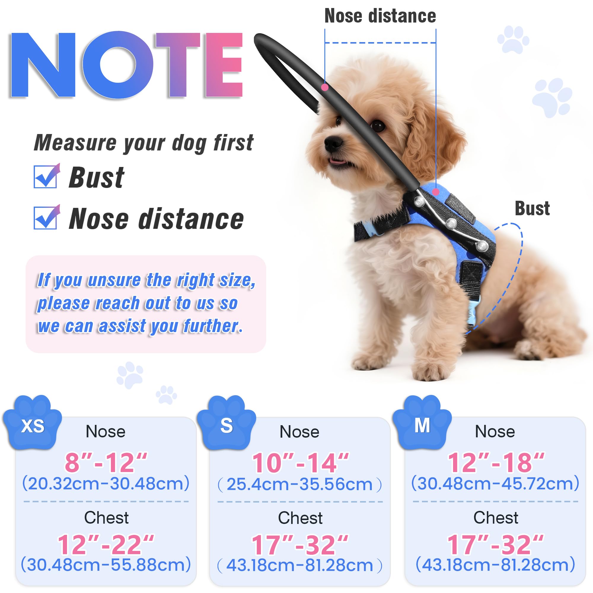 LetPetRun blind dog halo worn with leash for safer daily walks.