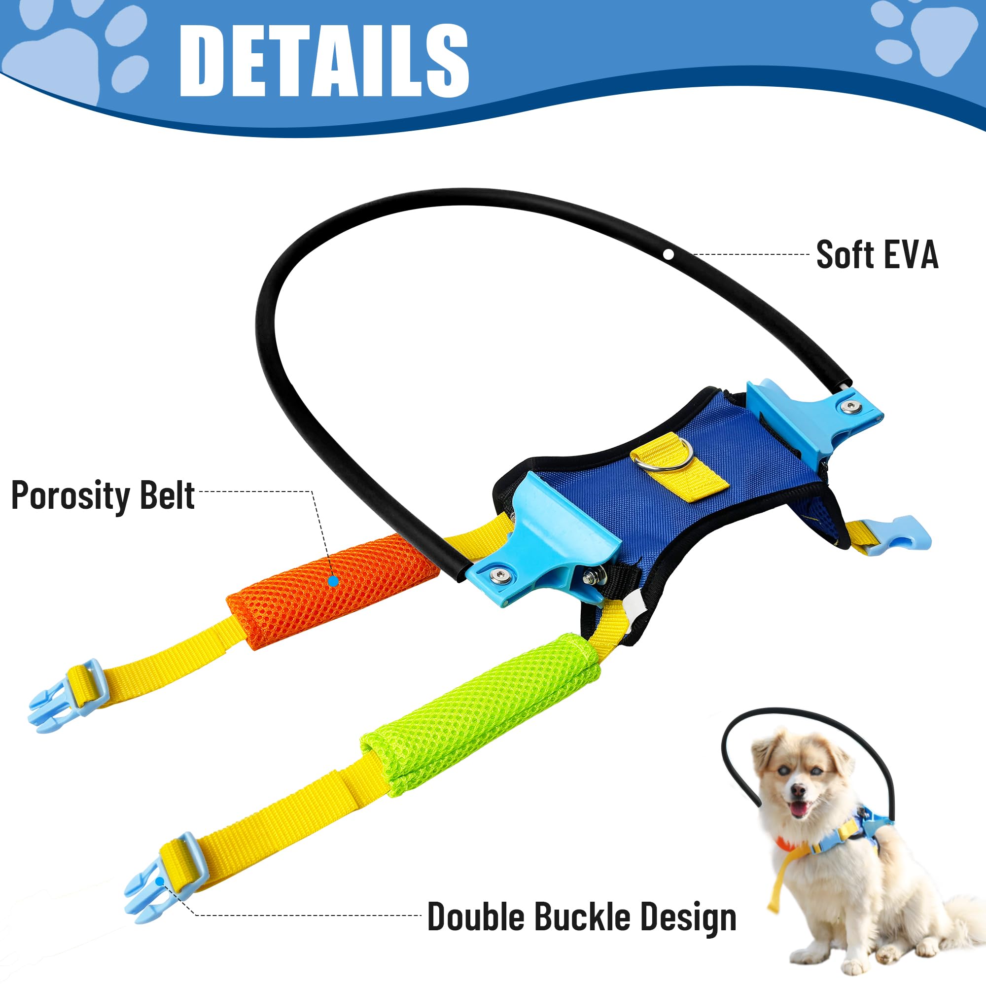 LetPetRun Blind Dog Halo Harness in park during a calm walk.
