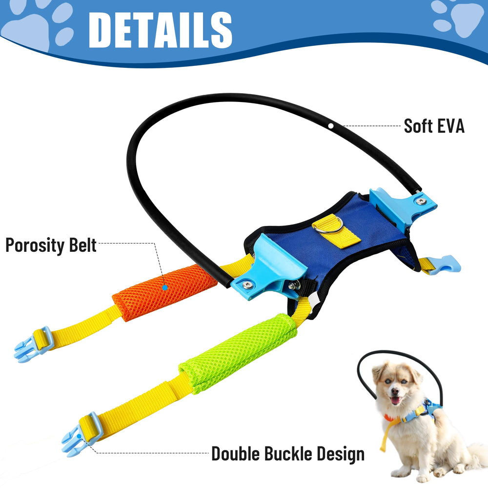 LetPetRun Blind Dog Halo Harness in park during a calm walk.