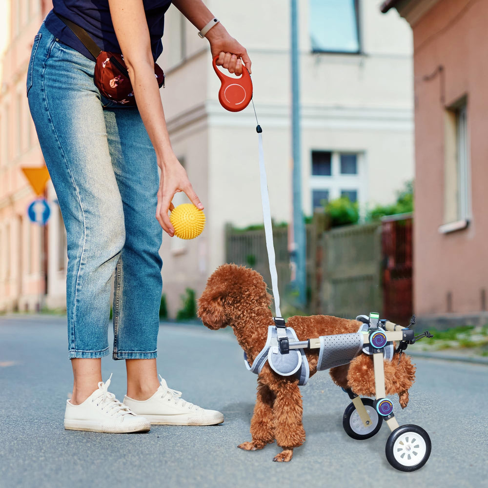 LetPetRun buckle-leash attachment demonstrates added safety during outdoor use.