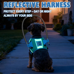 LetPetRun Halo Harness highlights soft padding and lightweight comfort.