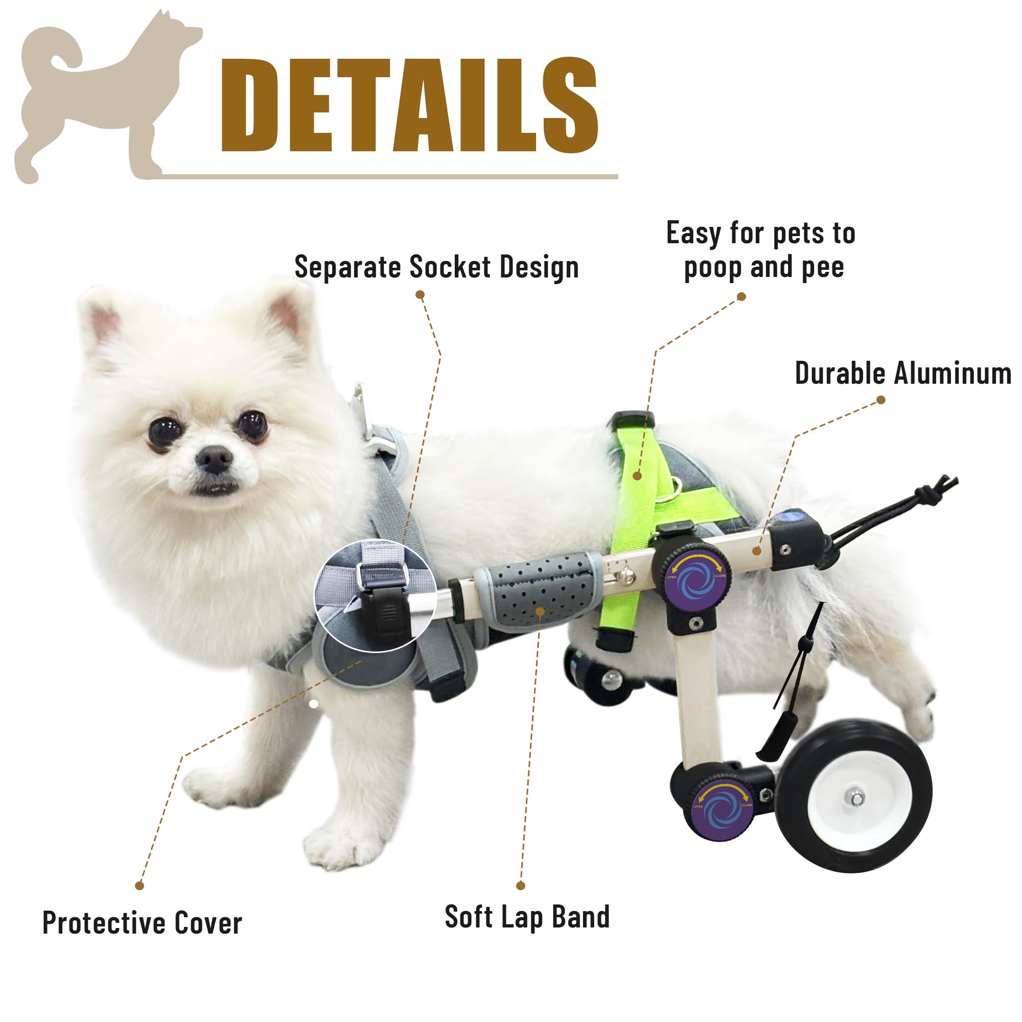 LetPetRun padded straps image focusing on comfort and secure fit during walks.