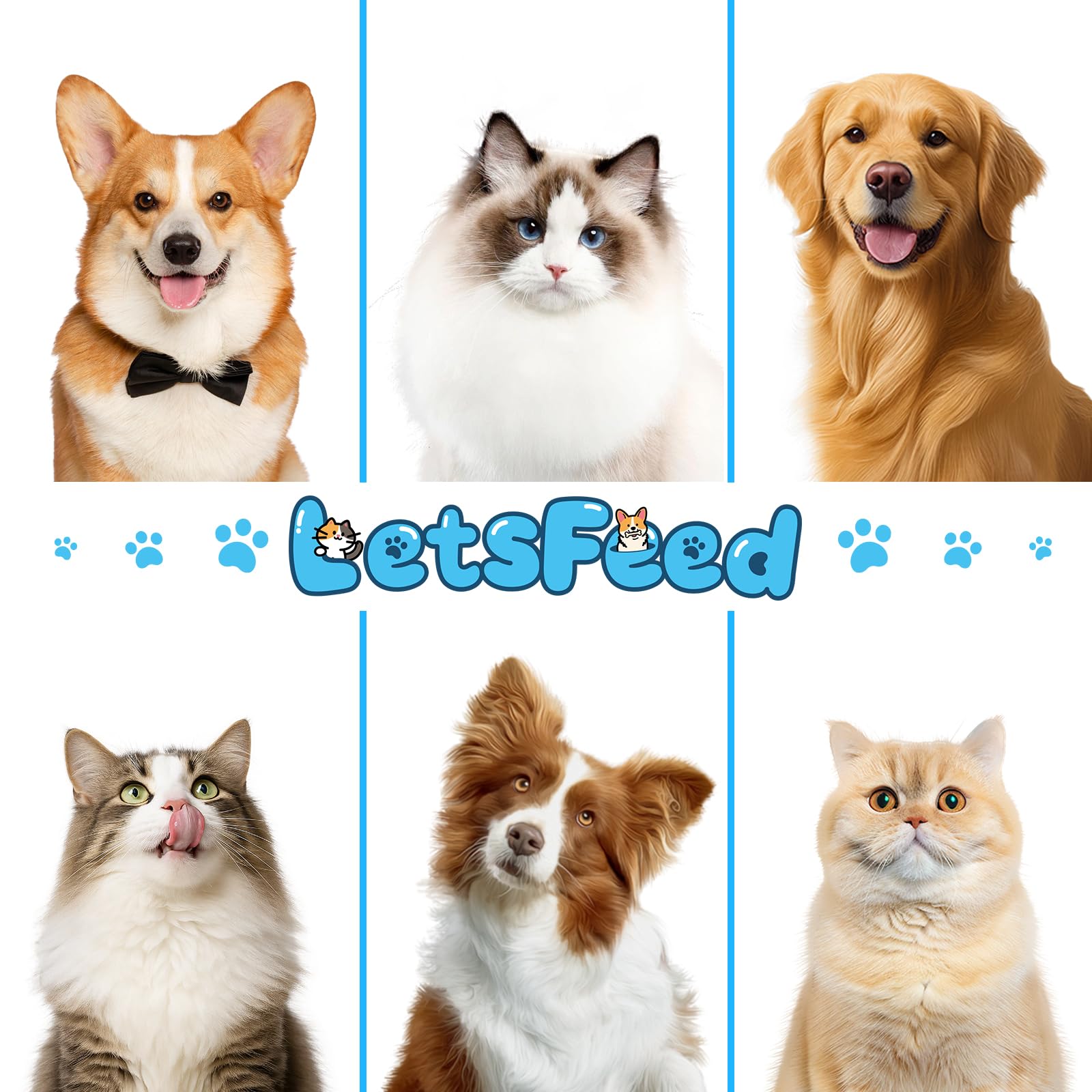 LetsFeed two-pack refill pack ensures continuous grooming with convenient refills.