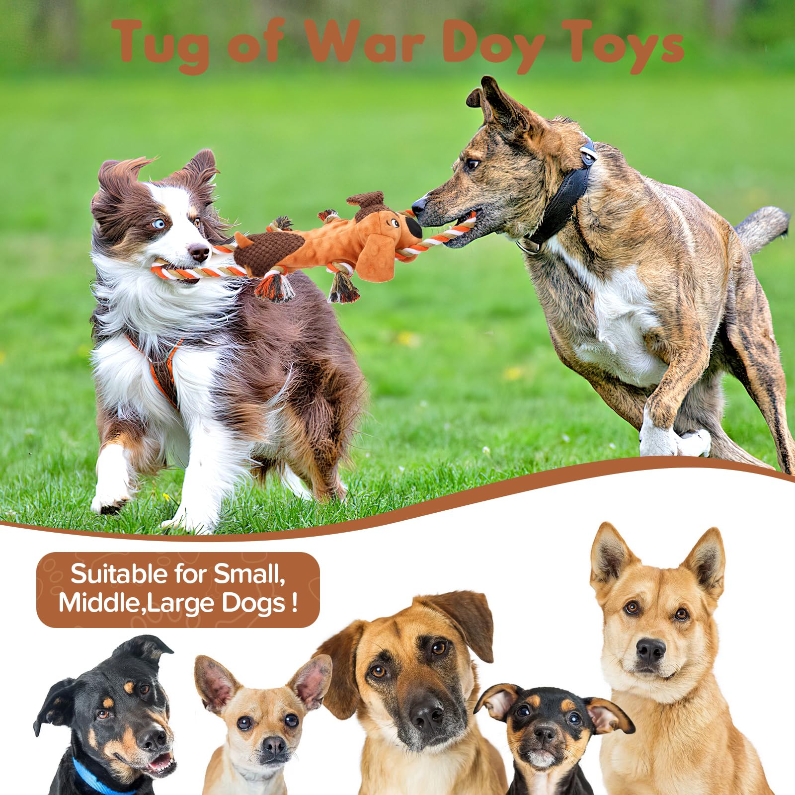 Letsmeet Dog Toy bonding moments during training and play.