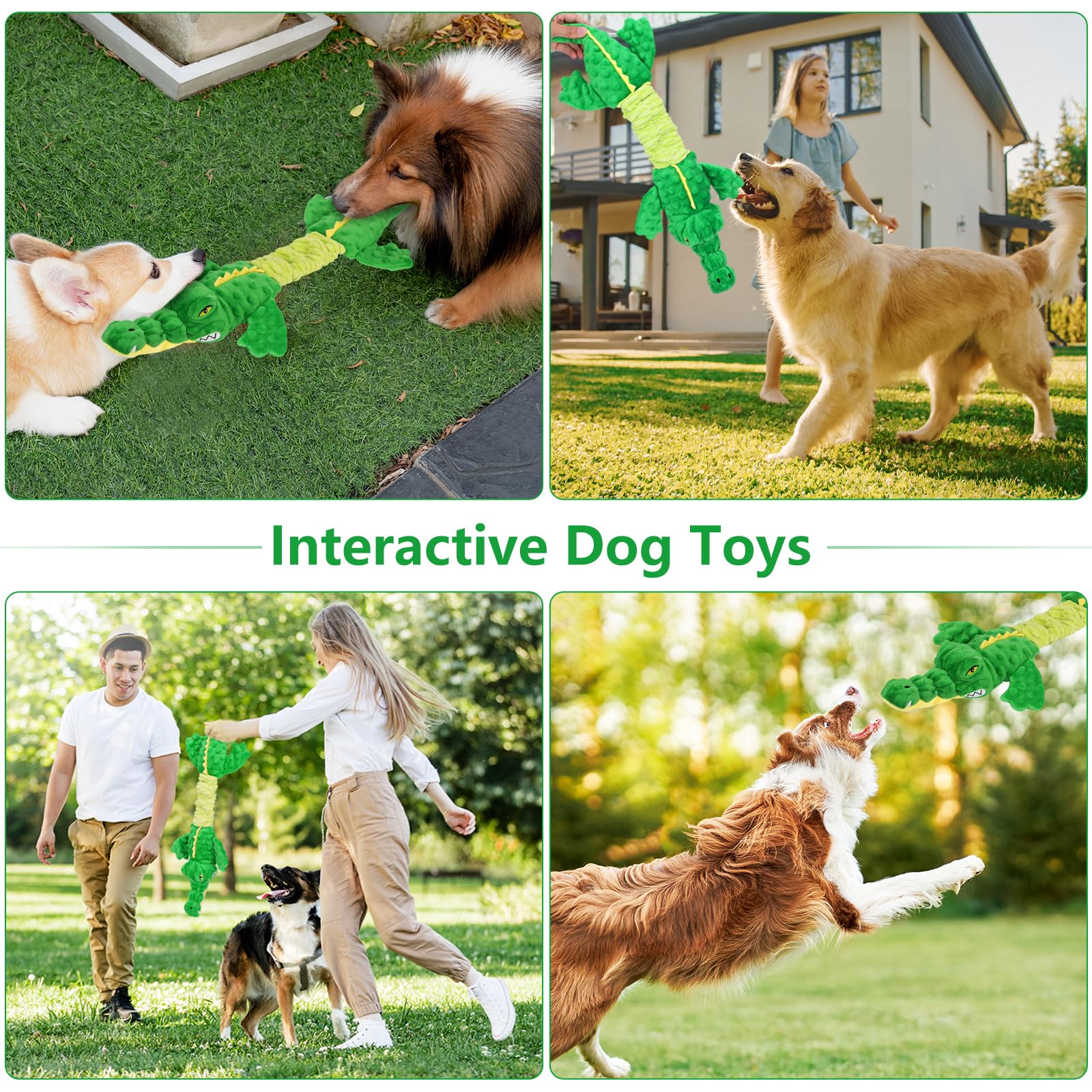 Letsmeet dog-toy-for-all-breeds showcases inclusive size-related fun for every dog