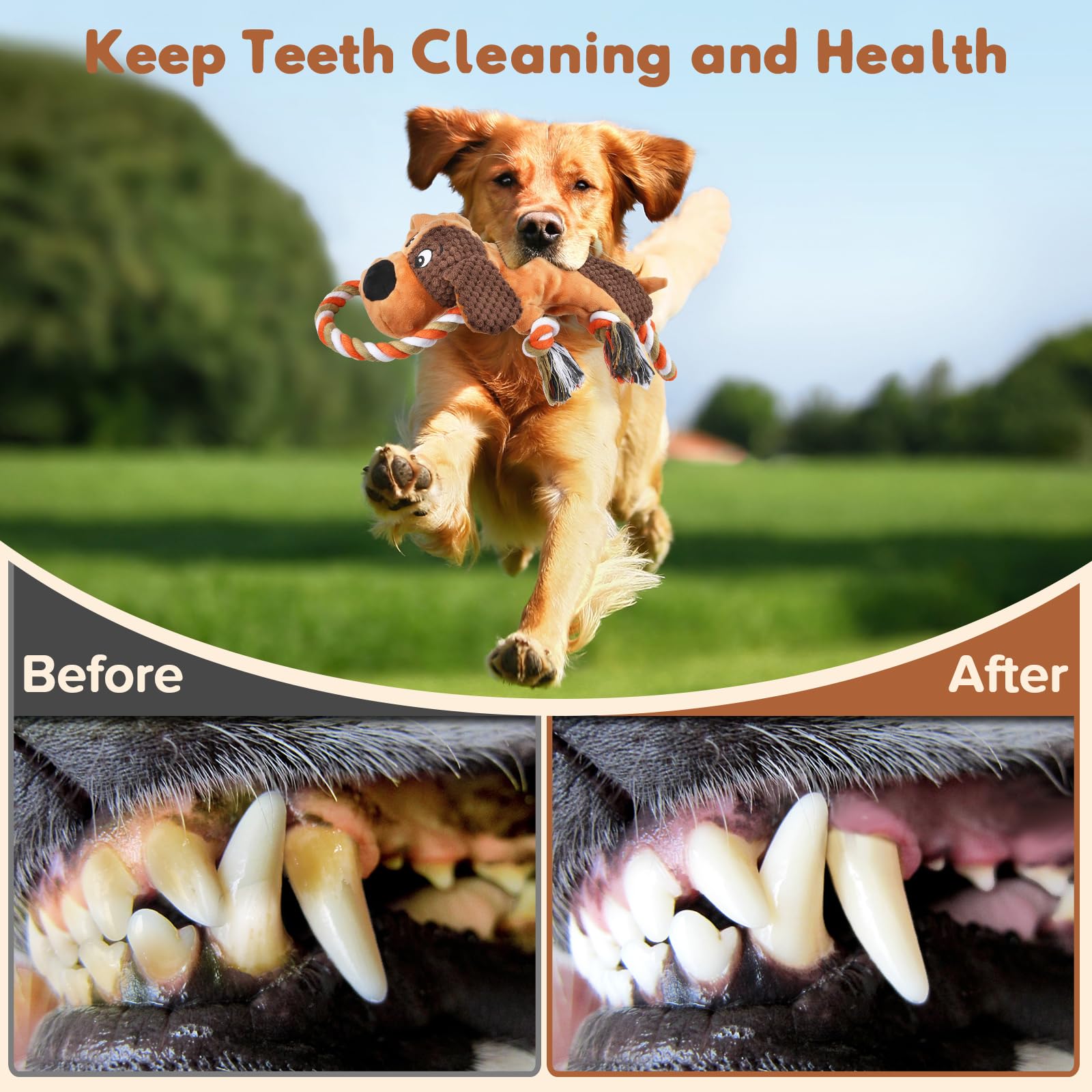 Letsmeet Dog Toy rope design invites interactive play and mindful chewing.