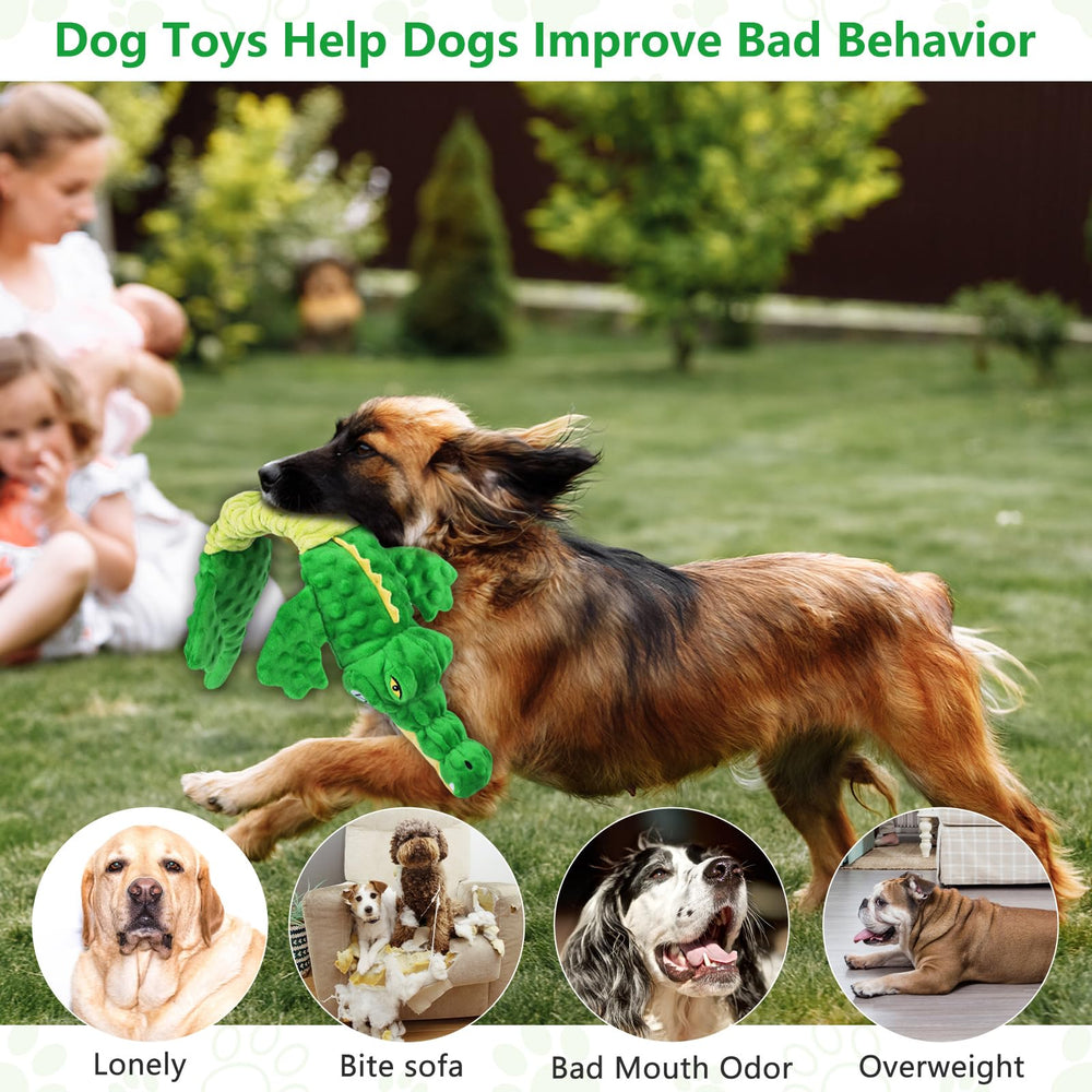 Letsmeet interactive-dog-toy-tug-war-action captures bonding moments between owner and pet