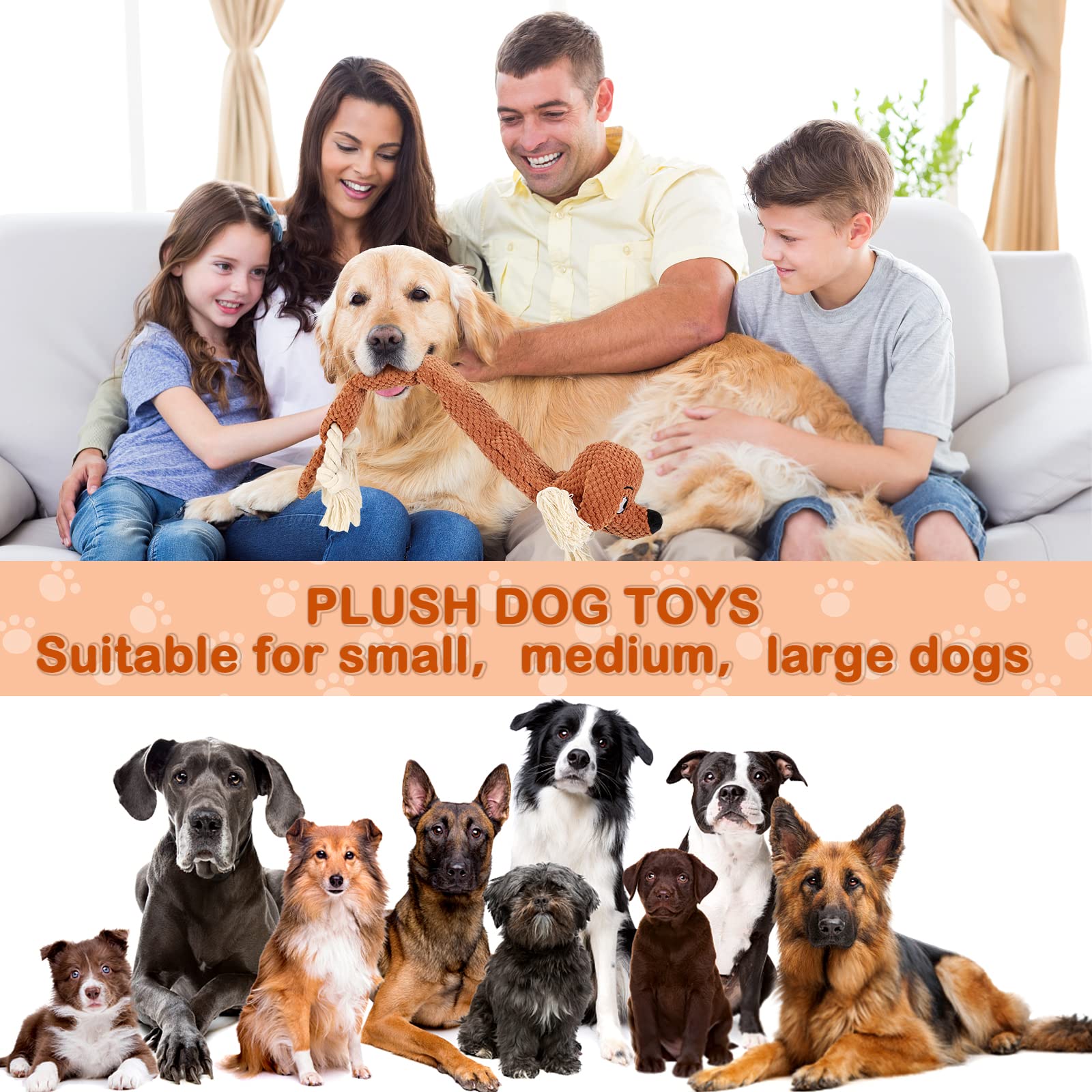 Letsmeet regalo para perro en caja, ideal para fiestas