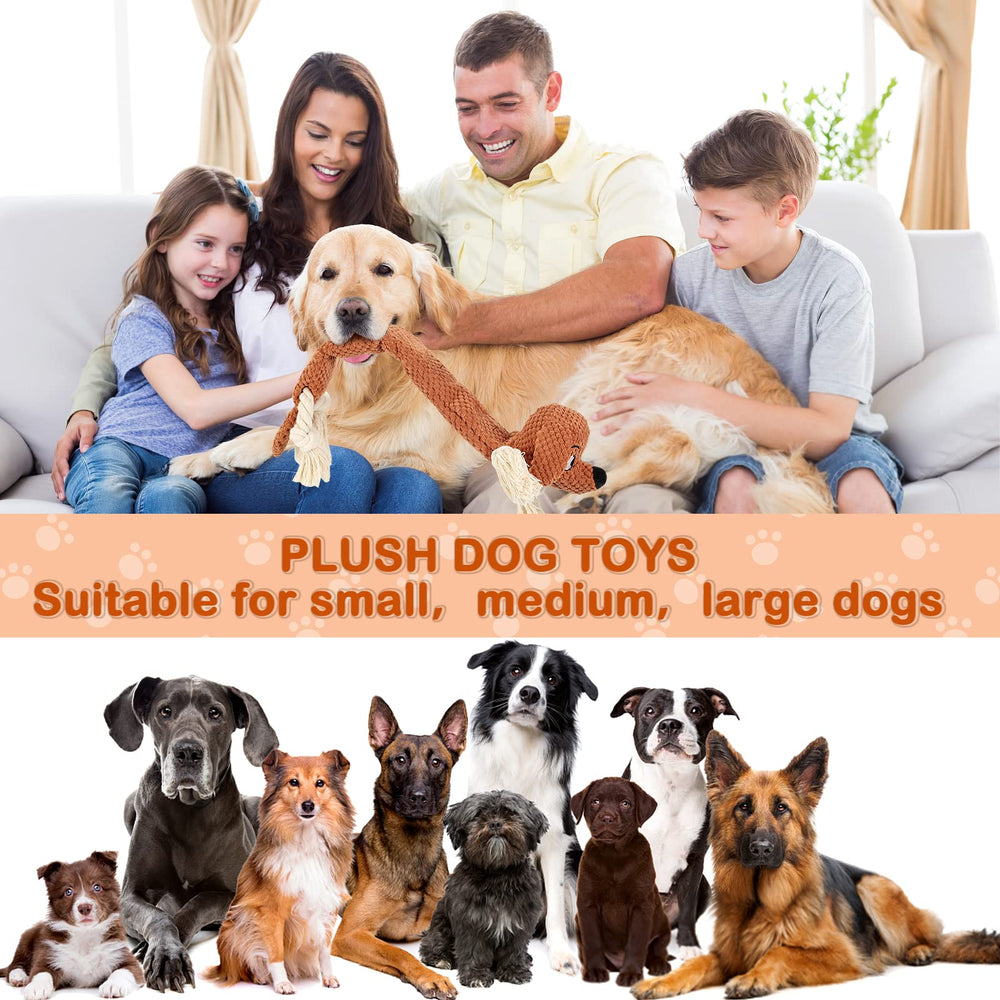 Letsmeet regalo para perro en caja, ideal para fiestas