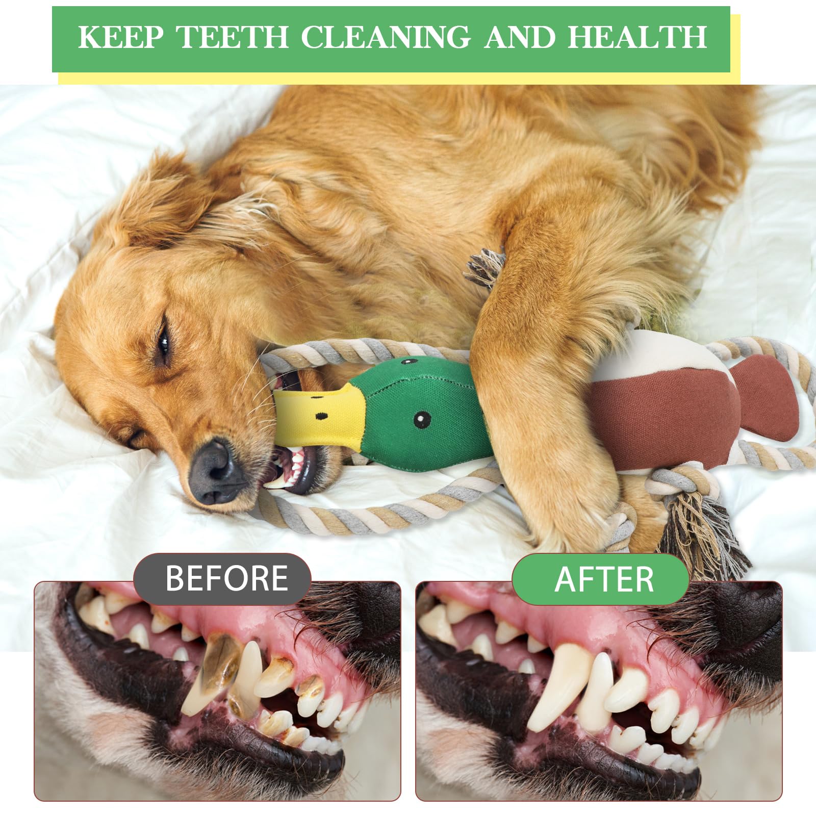 Letsmeet plush duck toy satisfies chewing instincts during playful sessions.