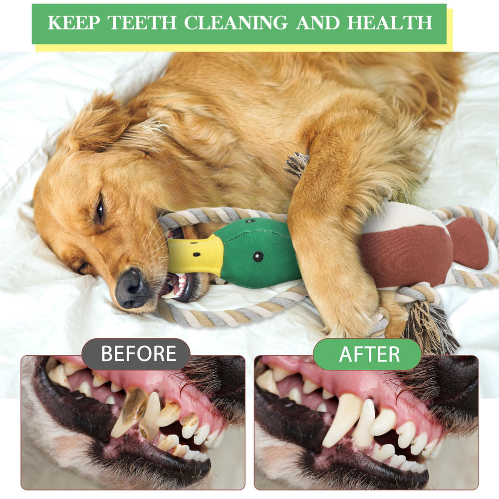 Letsmeet plush duck toy satisfies chewing instincts during playful sessions.