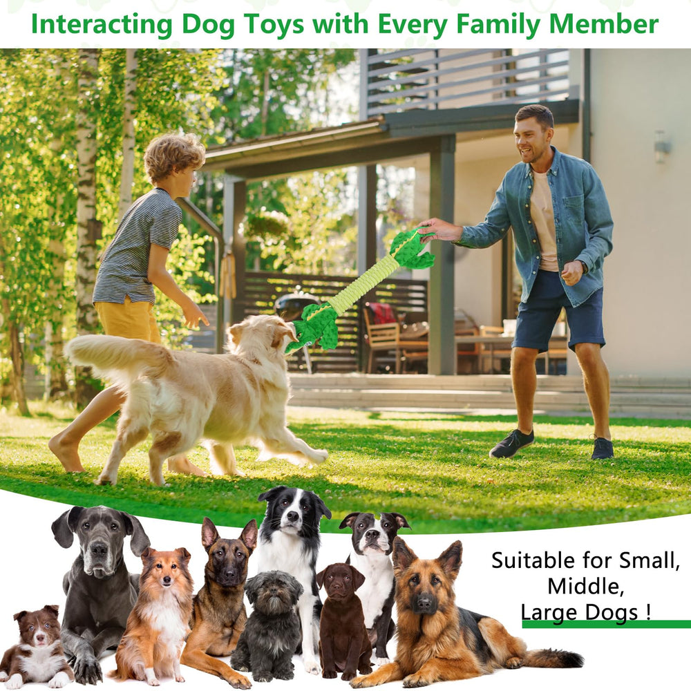 Letsmeet special-occasion-dog-toy-gift image conveys joyful moments for pets