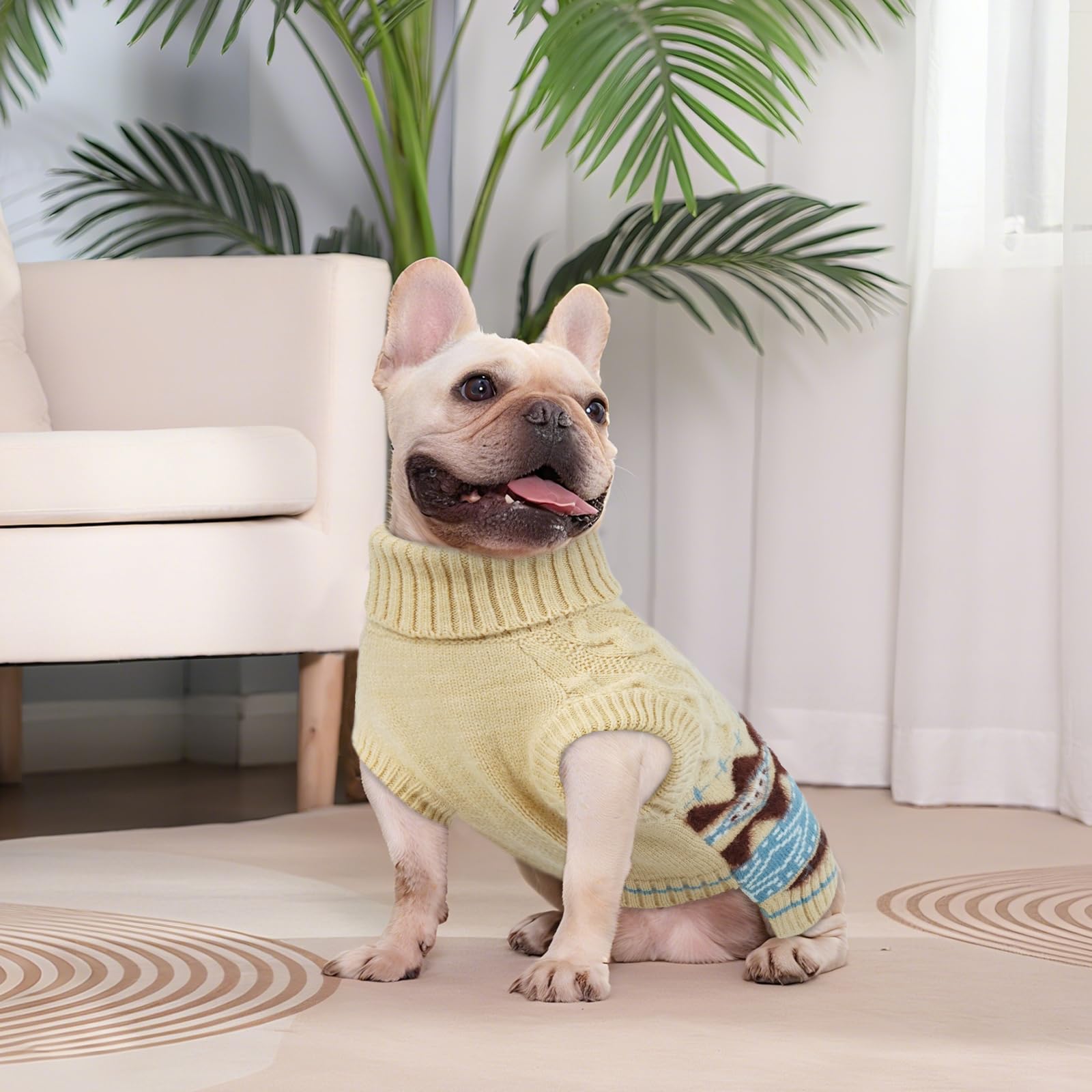 LETSQK size chart helps find perfect fit for dog sweater