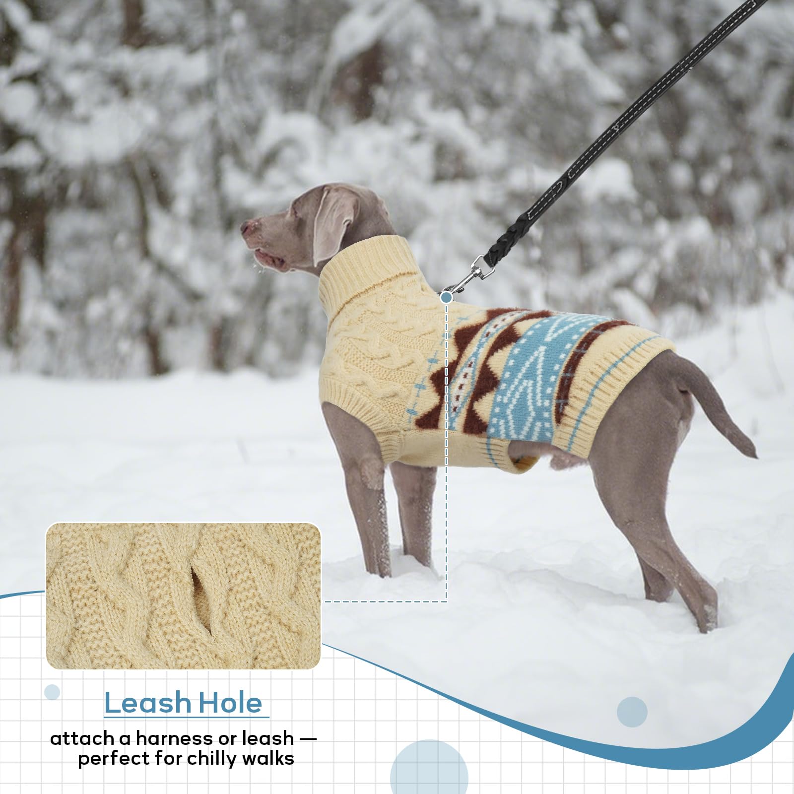 LETSQK small dog wearing LETSQK winter sweater for chilly days