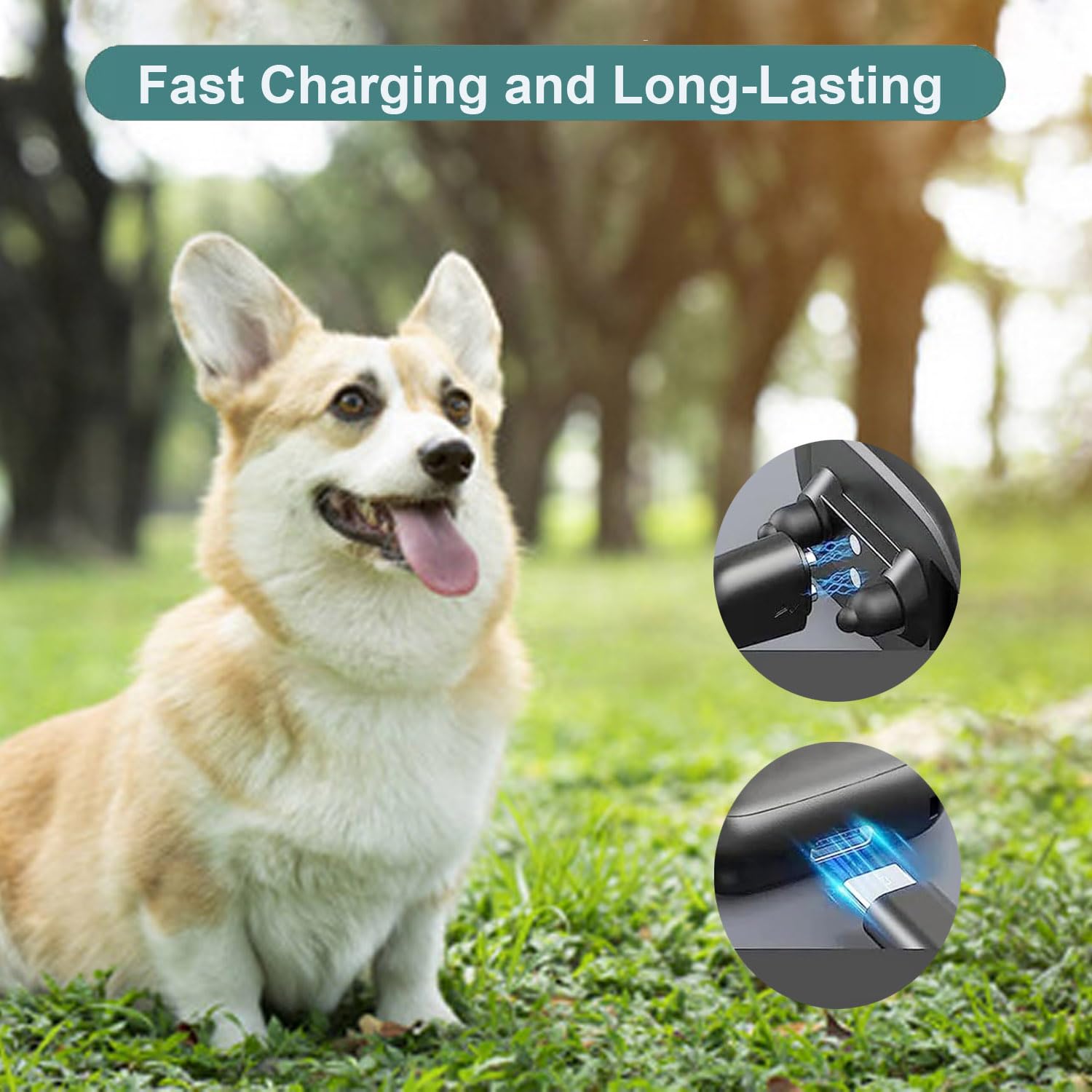 Lettou charger packaged 1-pack ready-to-use replacement kit