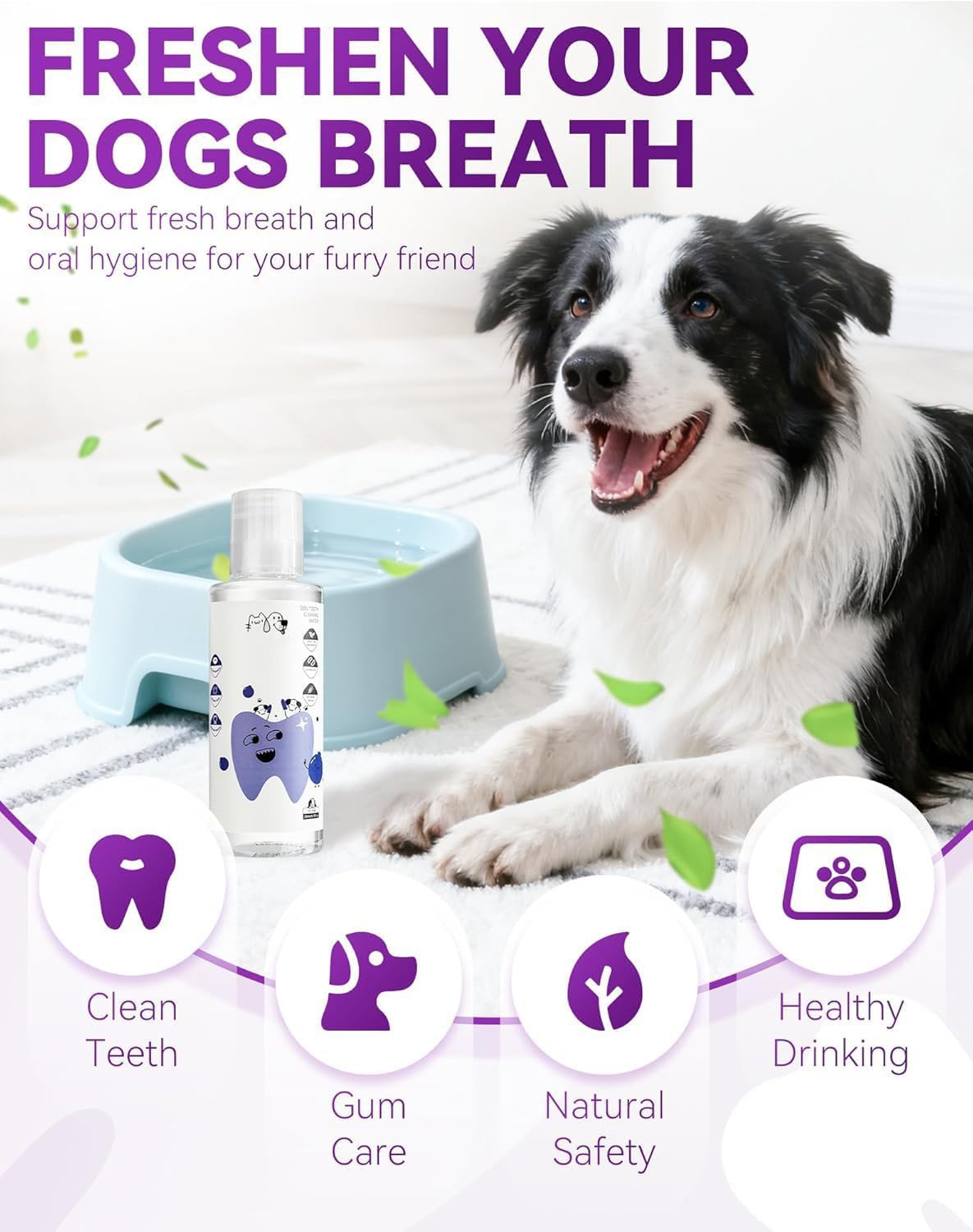 LEWELLRY dog drinking water demonstrates easy daily care integration.
